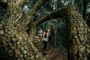 BIB: 
                            <button type="button" onclick="openModal(25703785)" class="btn btn-primary btn-sm float-right btn-popup" data-toggle="modal" data-target=".modal-high-quality">
                        <i class="fas fa-shopping-cart"></i> Add to Cart
                    </button>
                                            <button type="button" onclick="isThisMe(25703785, true)" class="btn btn-success btn-sm float-right btn-popup btn-isme hidden" data-toggle="tooltip" data-placement="bottom" title="นี่คือรูปของคุณใช่ไหม คลิกที่นี่เพื่อเอาเข้าอัลบั้ม">
                        <i class="fas fa-plus"></i> Add to album
                    </button>
                    <button type="button" onclick="isThisMe(25703785, false)" class="btn btn-warning btn-sm float-right btn-popup btn-isnotme hidden">
                        <i class="fas fa-ban"></i> Remove from album
                    </button>